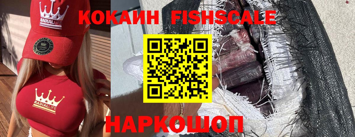 COCAIN Fish Scale  Вход с VPN  Тутаев  Cocaine VHQ 